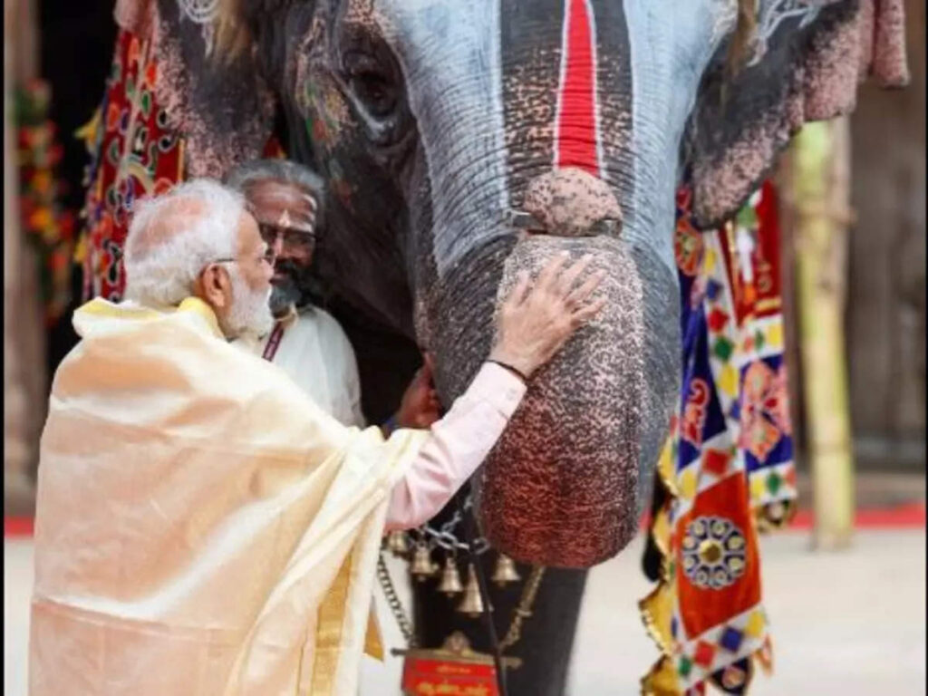 PM modi in Kaziranga National Park